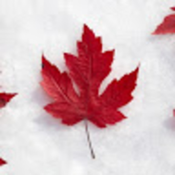 Meet your Posher, Anon - Picture 1 of 1